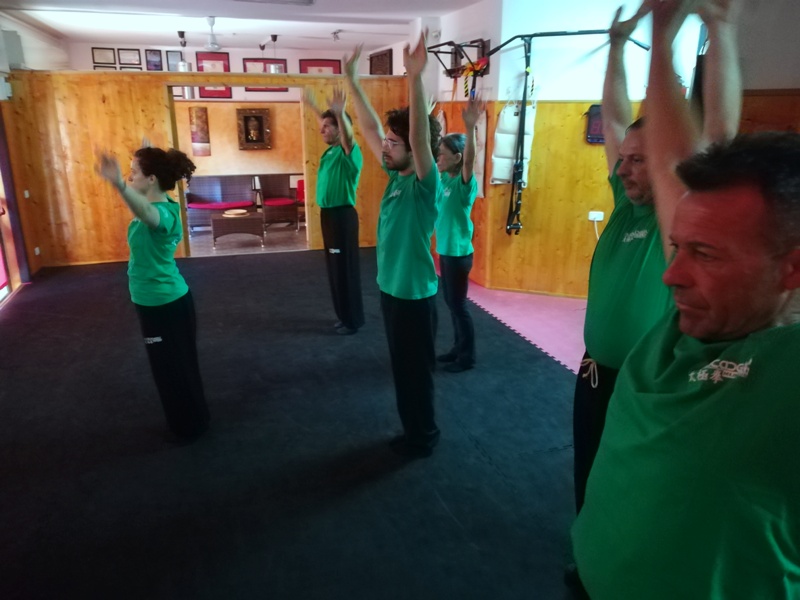 Kung Fu Academy di Sifu Mezzone scuola di wing chun e taijiquan, di wing tsun, difesa personale e arti marziali cinesi a Caserta e in Italia www.kungfuitalia.it (199)